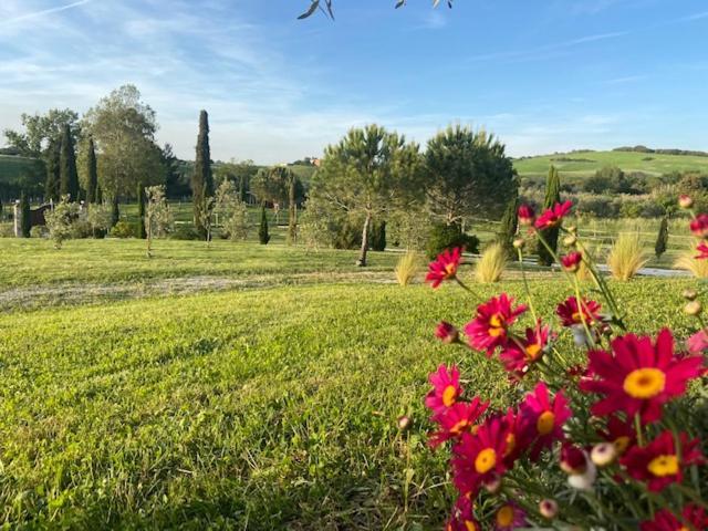 Bed And Breakfast Casale Del Sole Castellina Marittima Exteriör bild