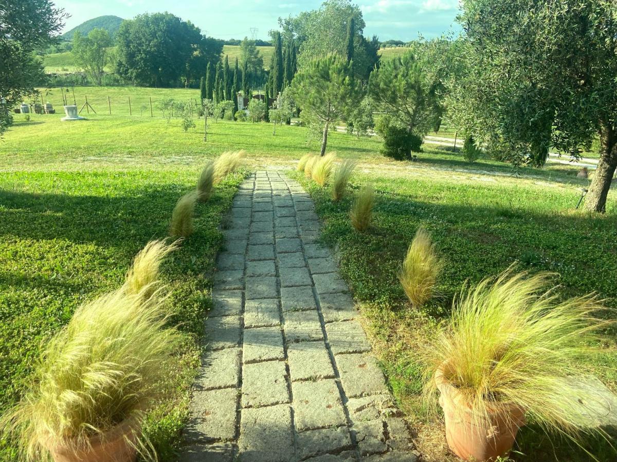 Bed And Breakfast Casale Del Sole Castellina Marittima Exteriör bild